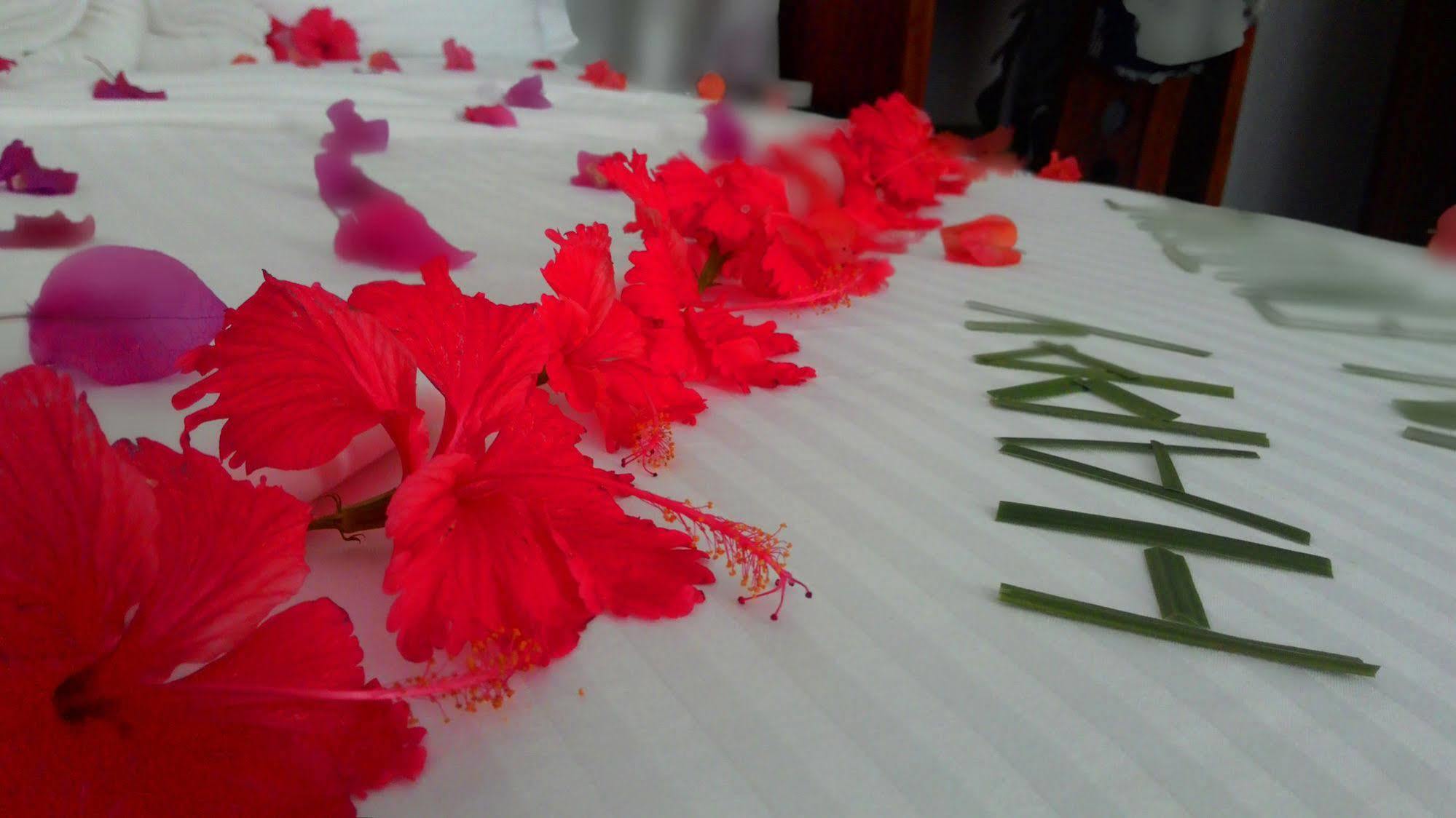 Sole Luna Resort & Spa Tangalle Dış mekan fotoğraf