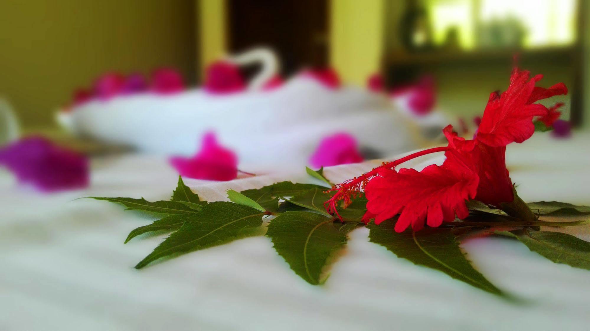 Sole Luna Resort & Spa Tangalle Dış mekan fotoğraf